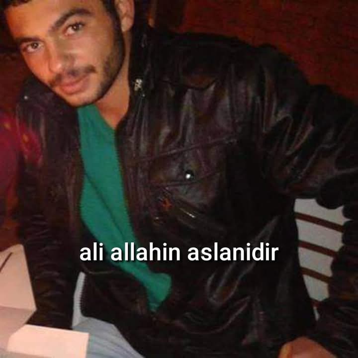 Ergin