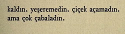 Serbil