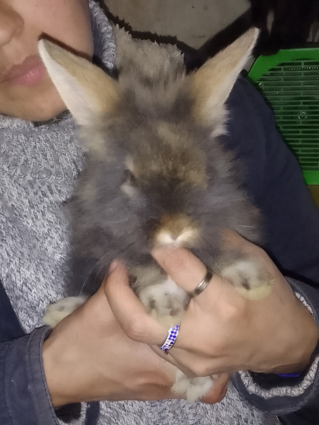 Beatrizblanca