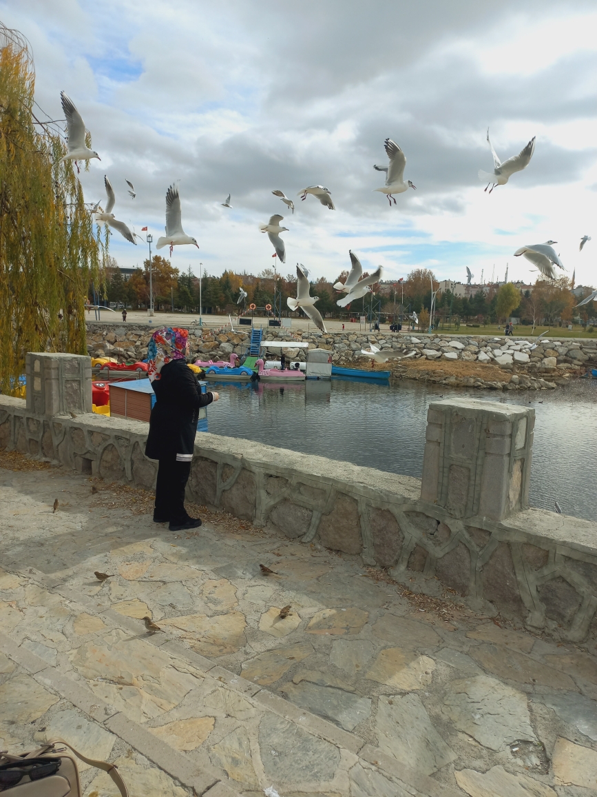 Aysegul
