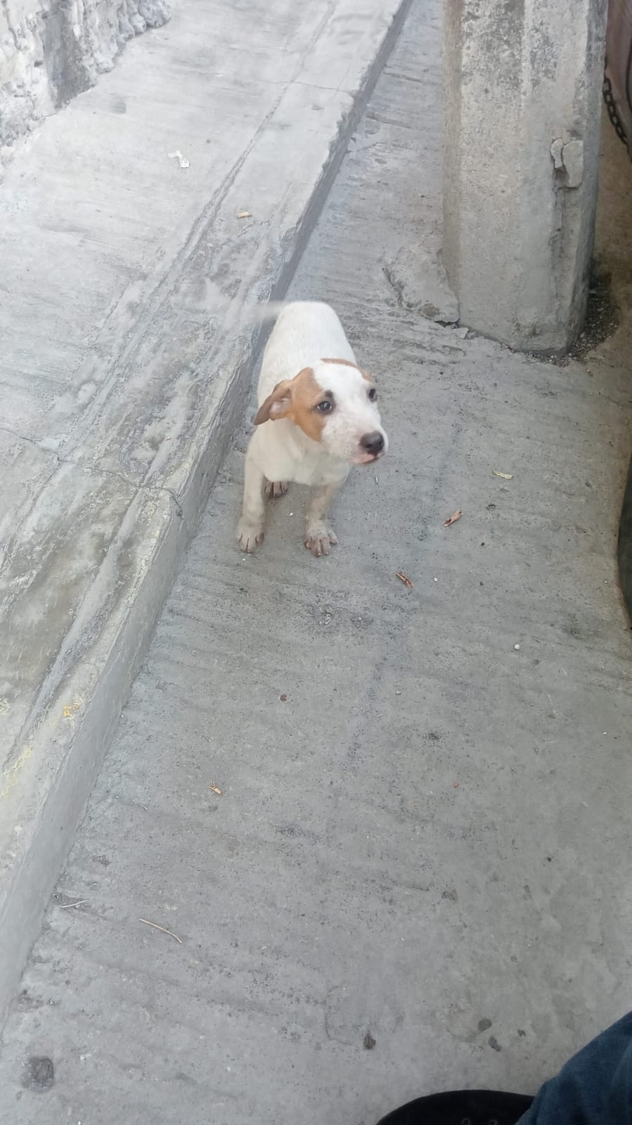 Adrián