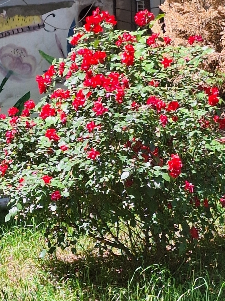 Niymet