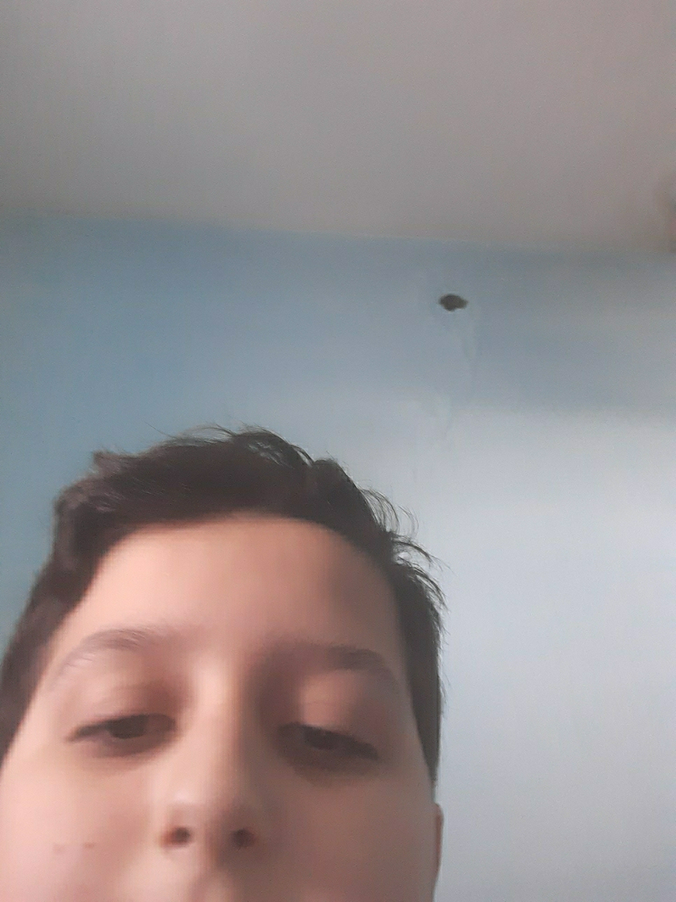 Cemil