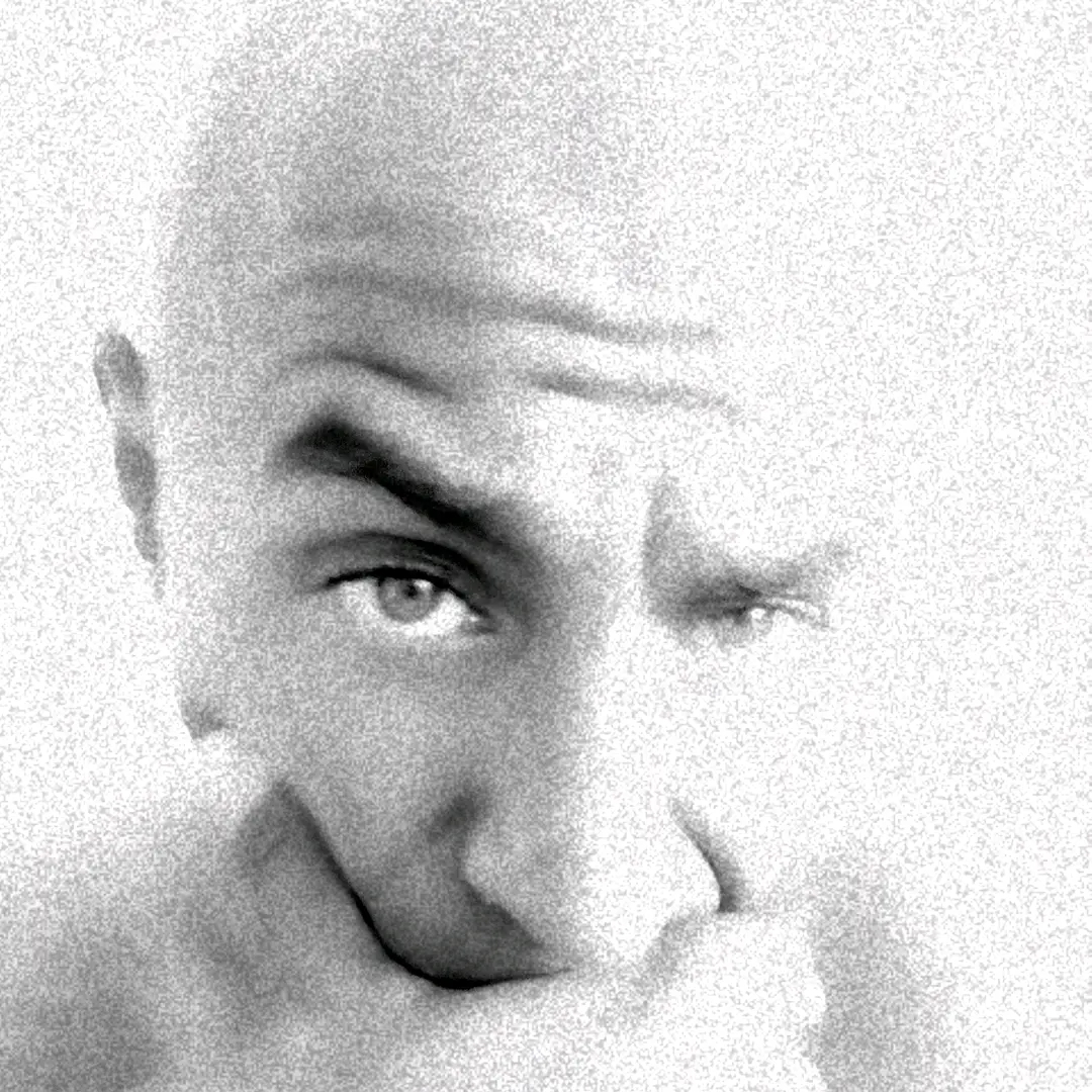 Soylu