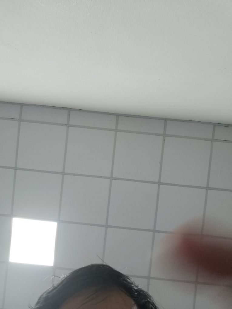 Tesvivo