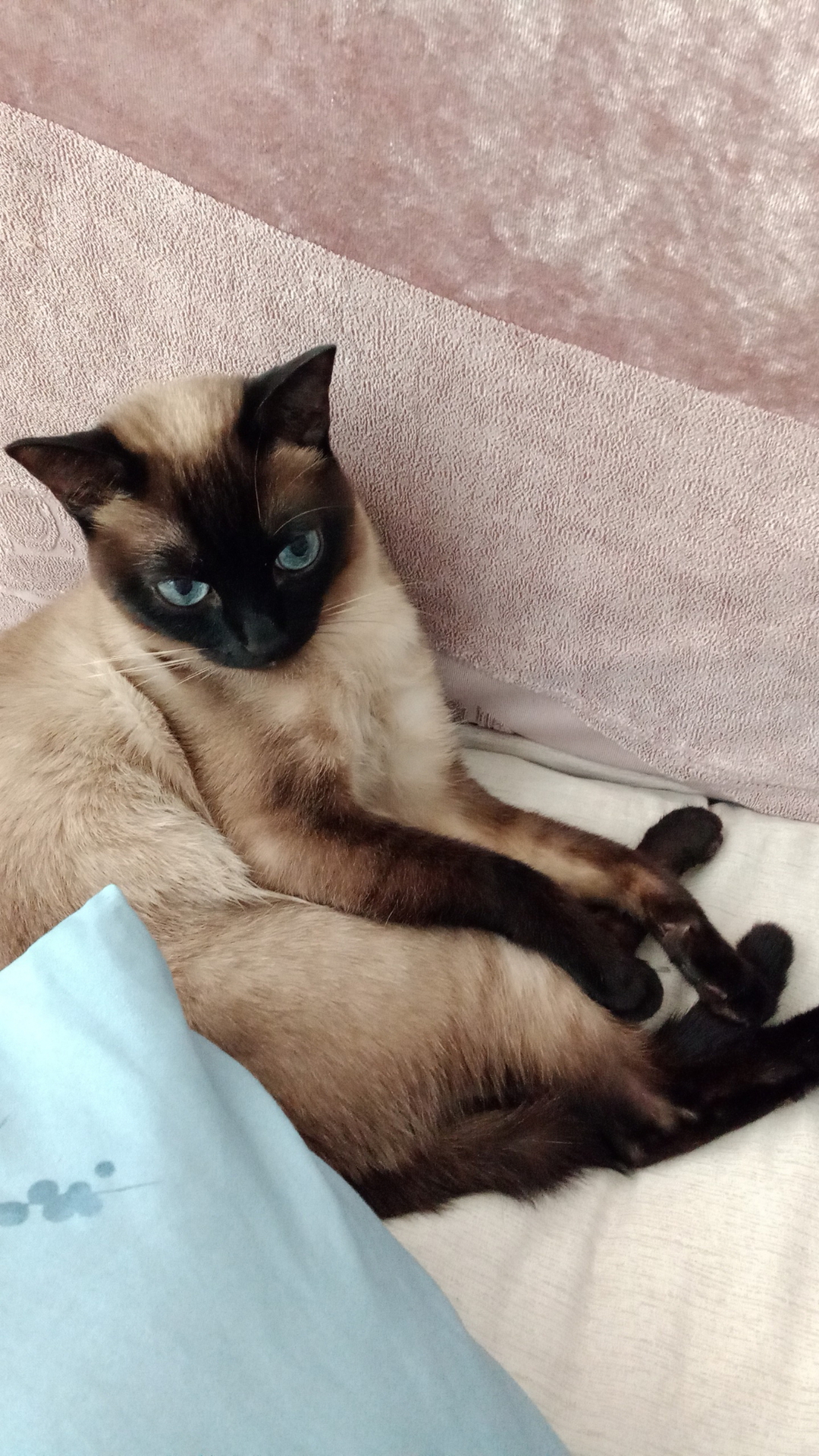 Özlem