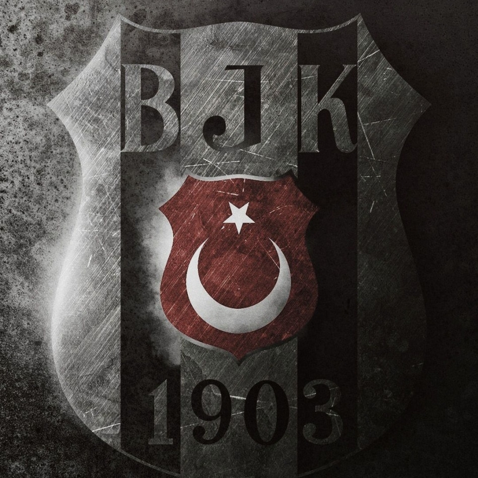 Şahin