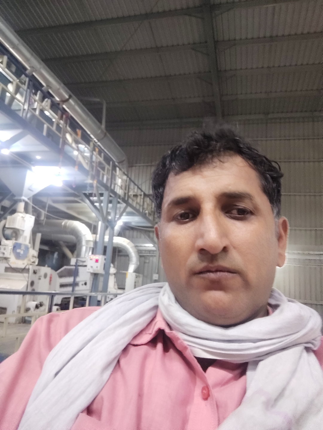 Anil