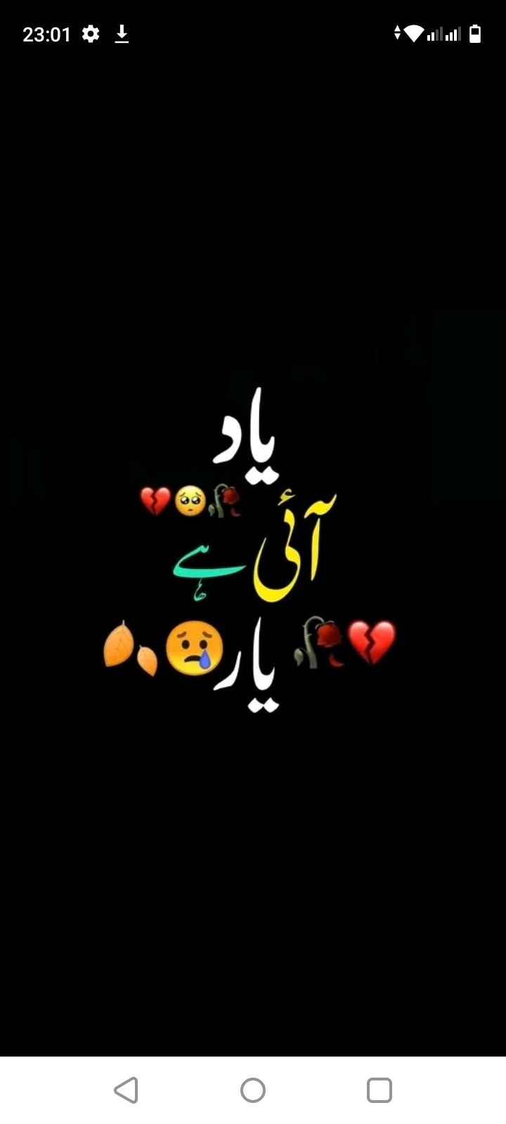M Hadi