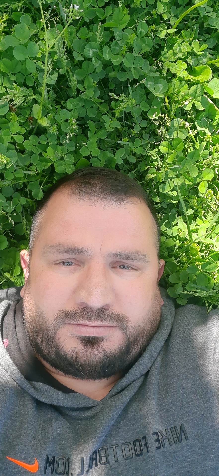 Yasar