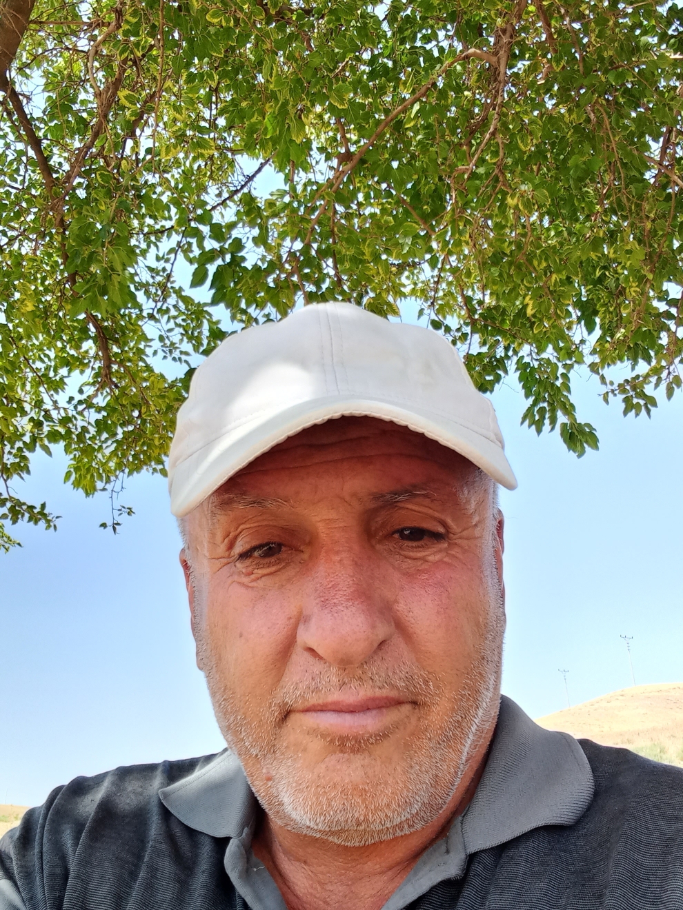 Ali