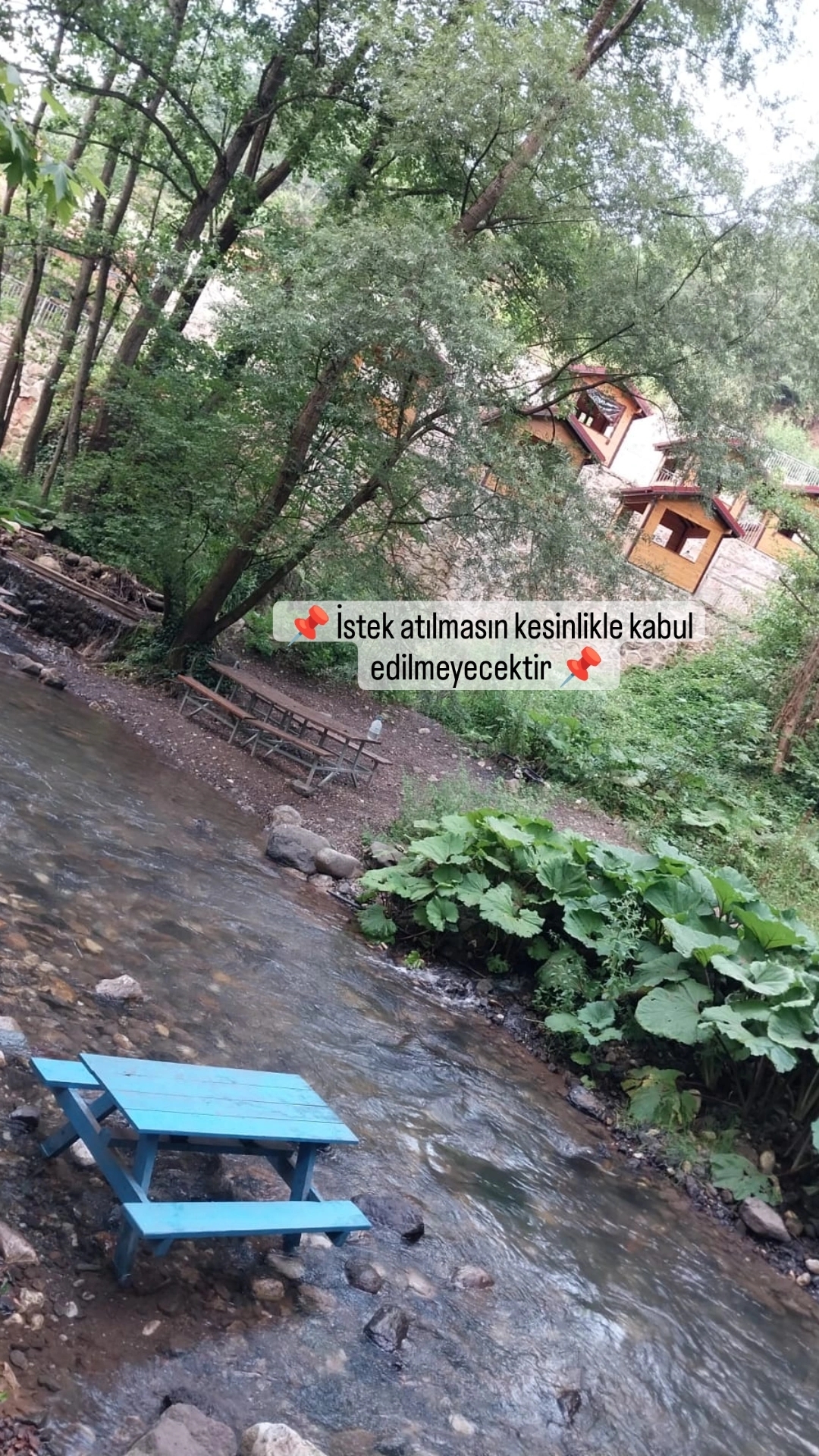 Binnur