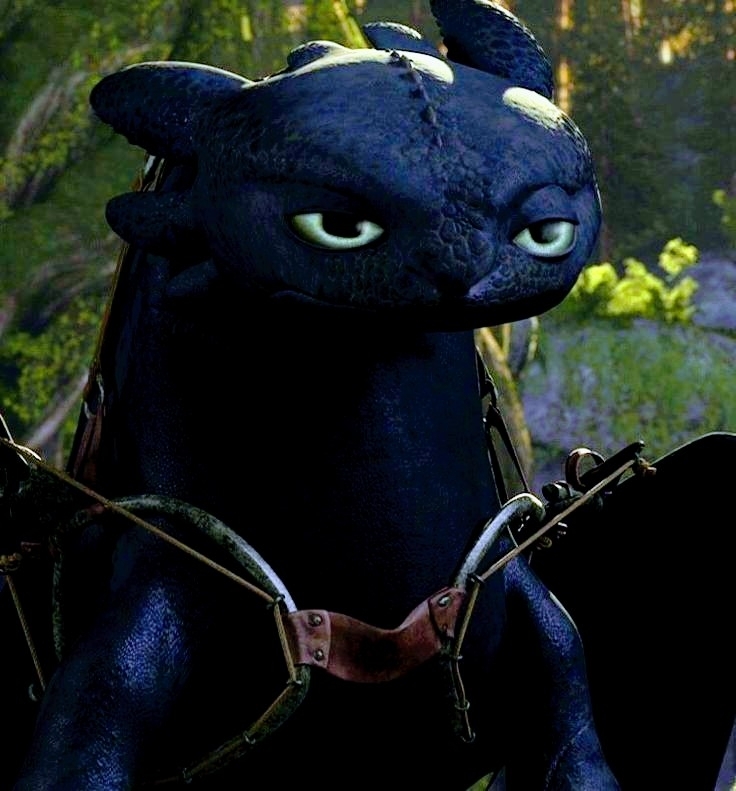 Dri