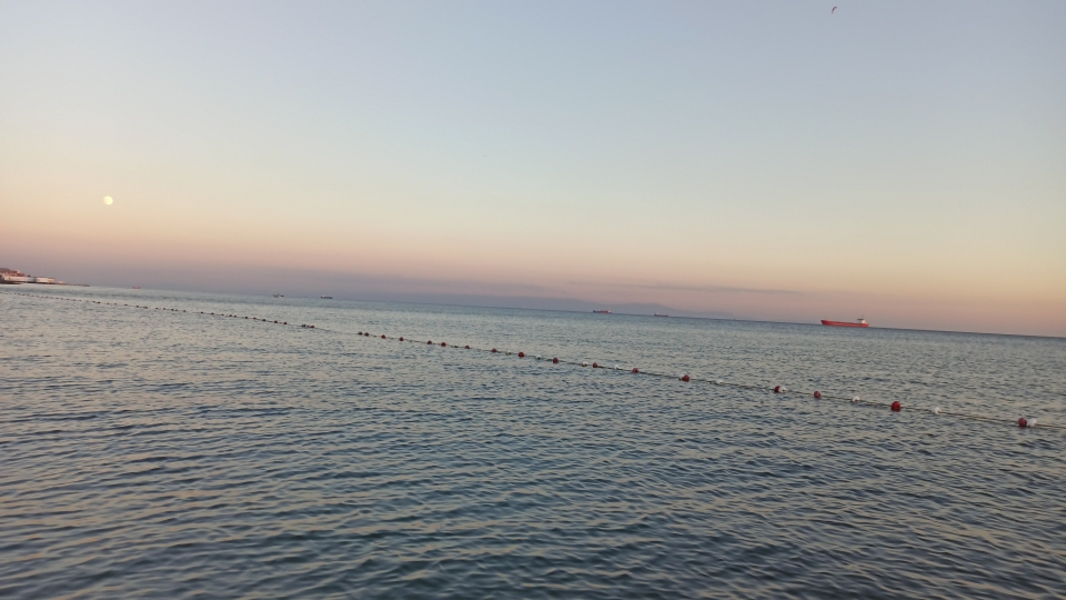 Mutlu