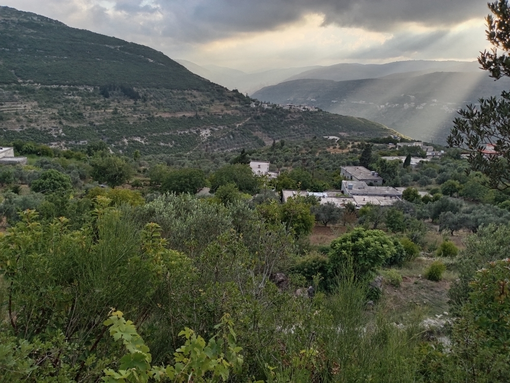 حسن
