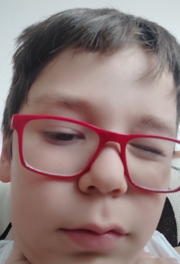 Seda