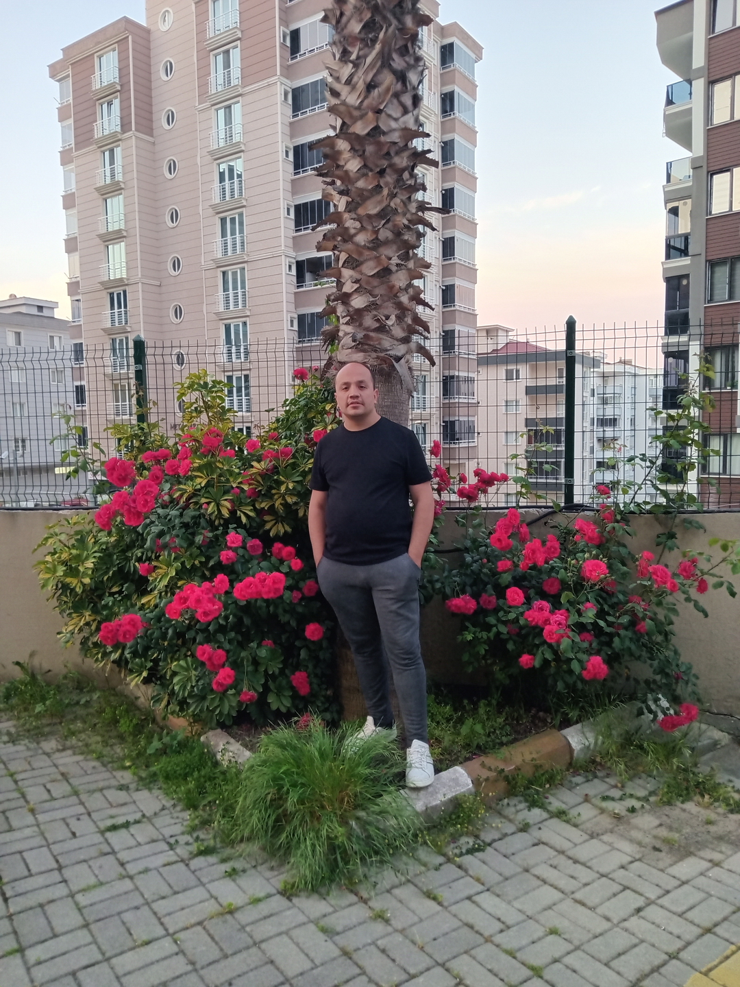 Tarık