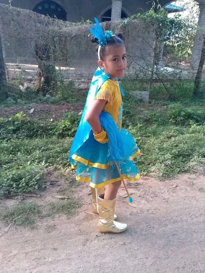 Breydi