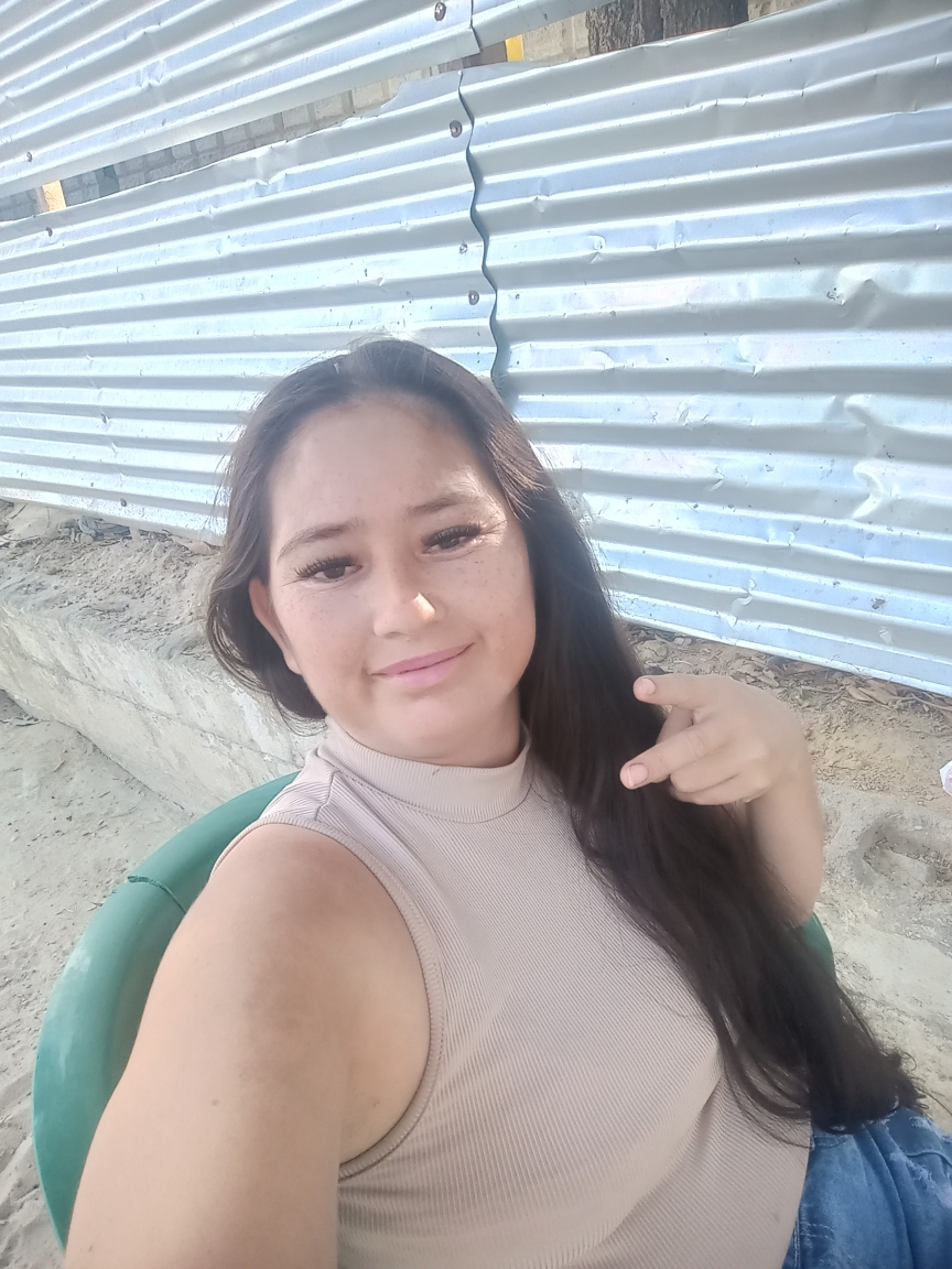 Ligia