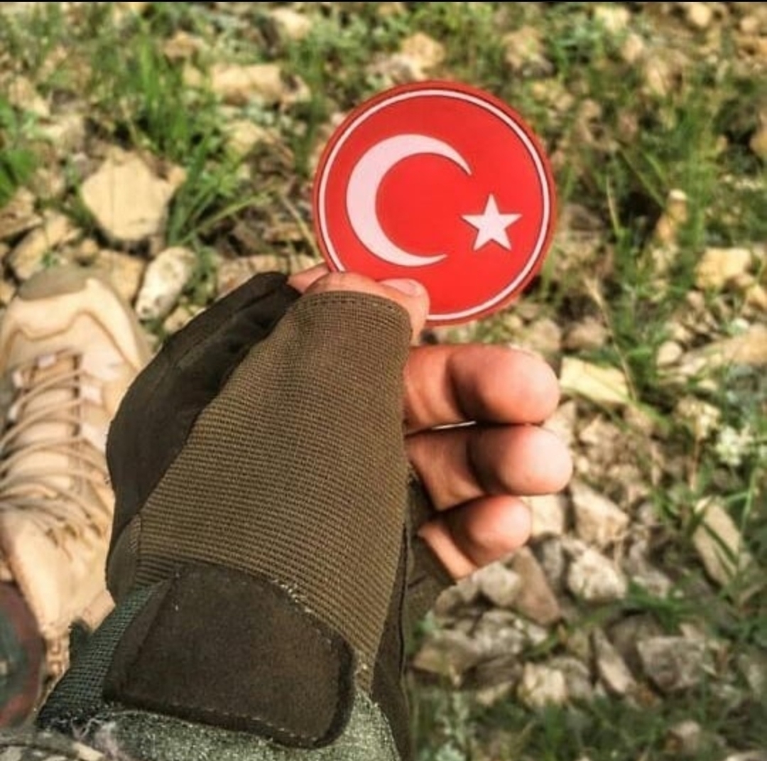 Vedat