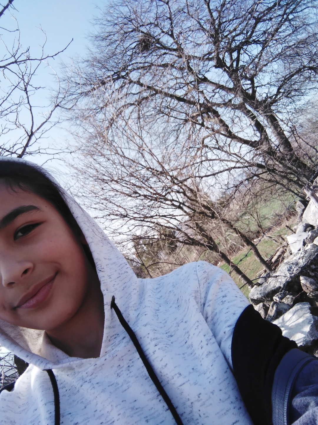 Ayşegül