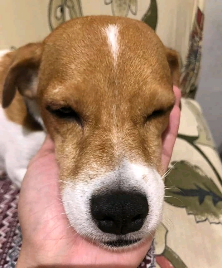 George
