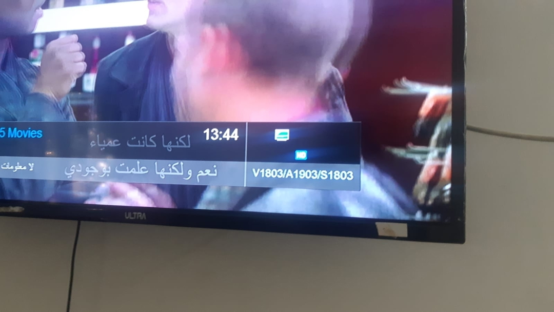 عزت