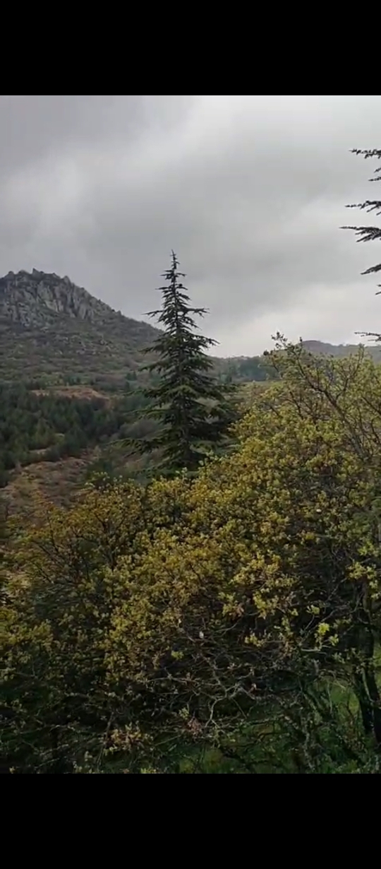 Baıse