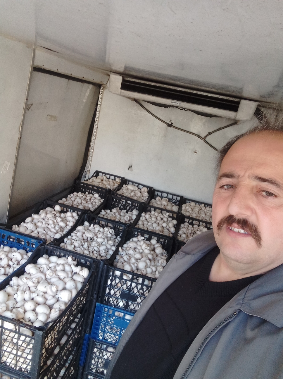 Sedat