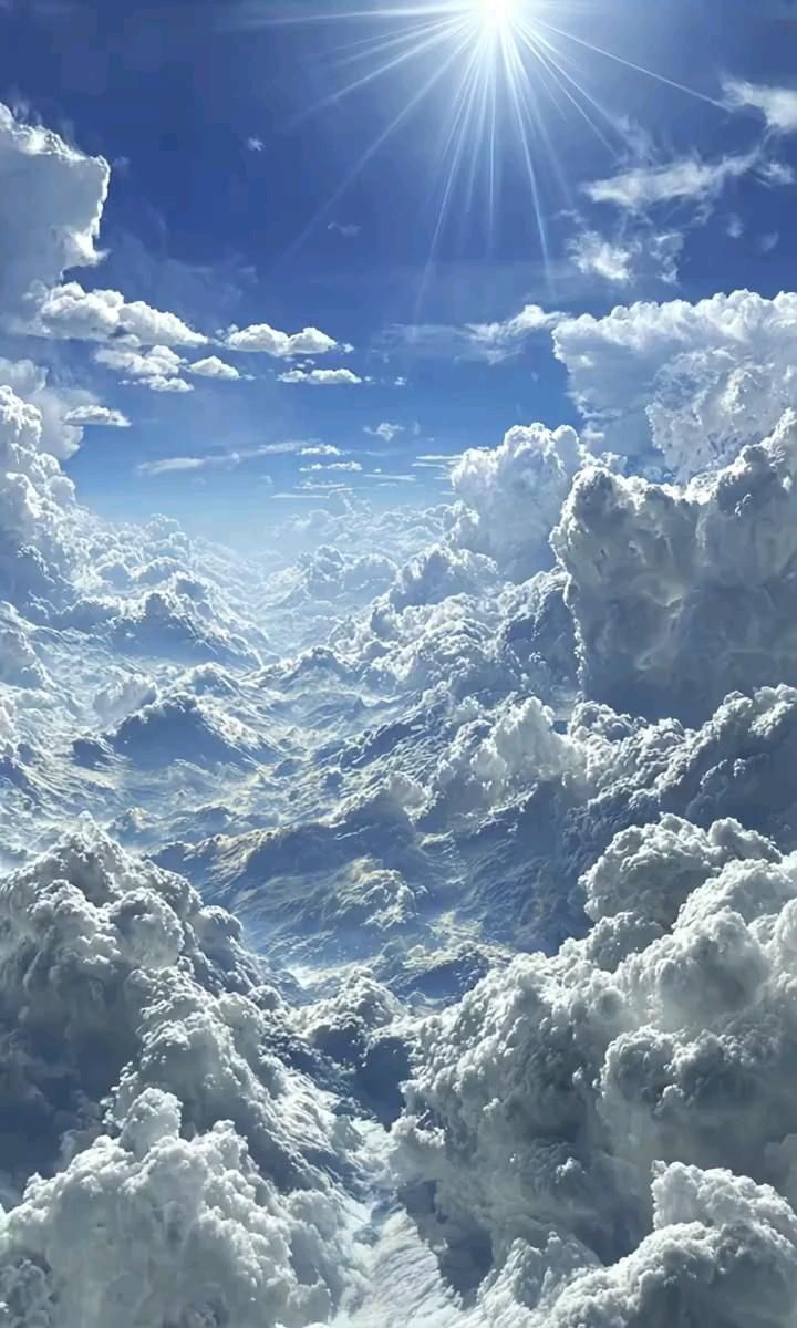 علاء