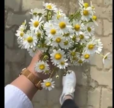 Firengiz
