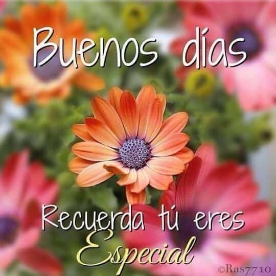 Raima