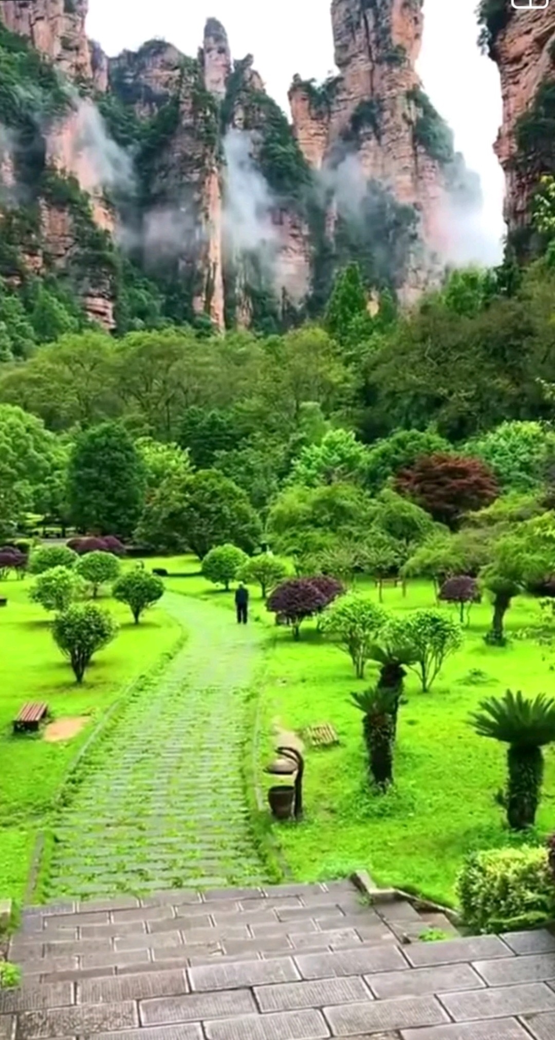 Anu