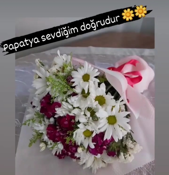 Şerife