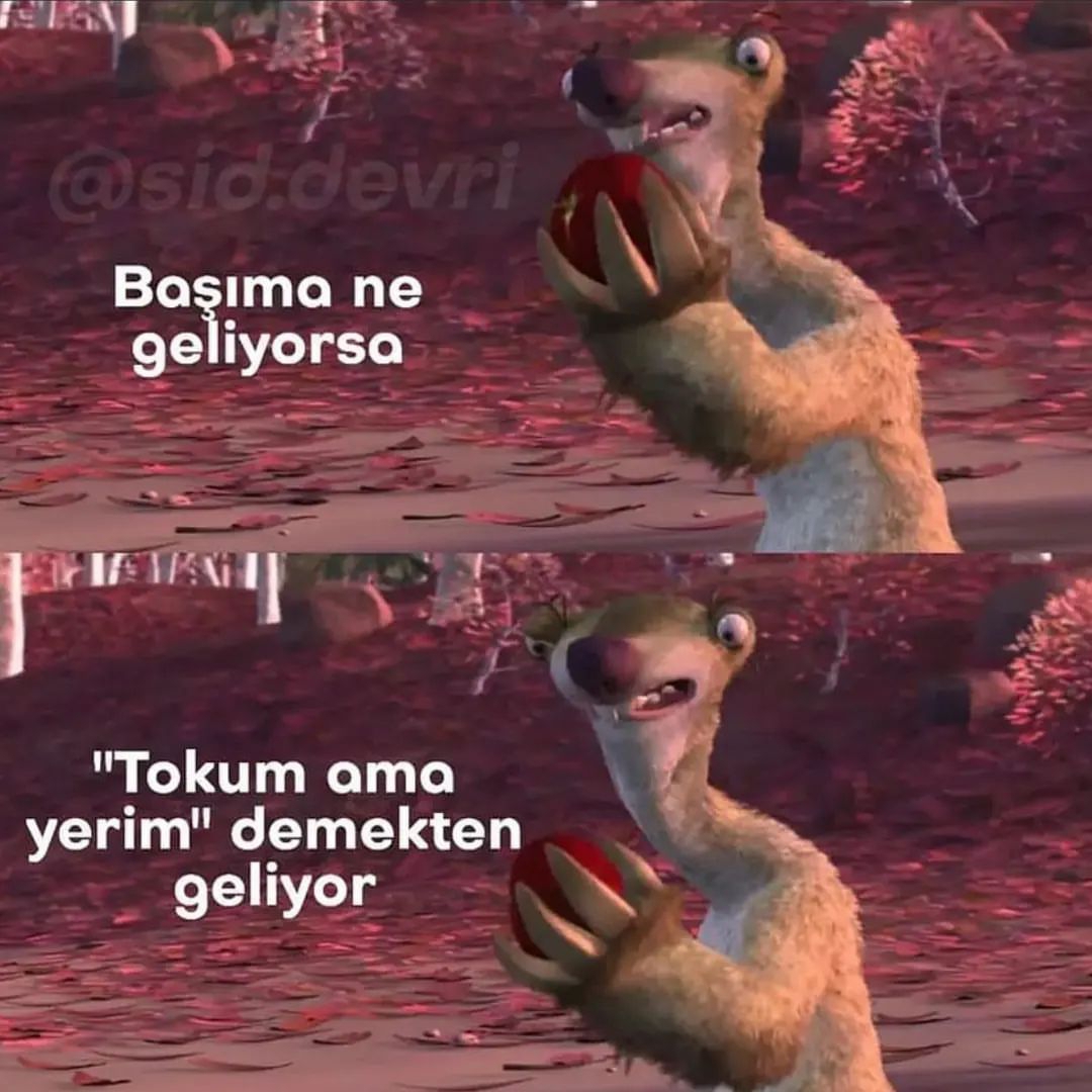 BOt