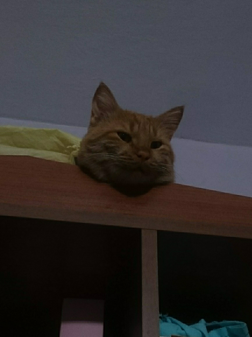 Deniz