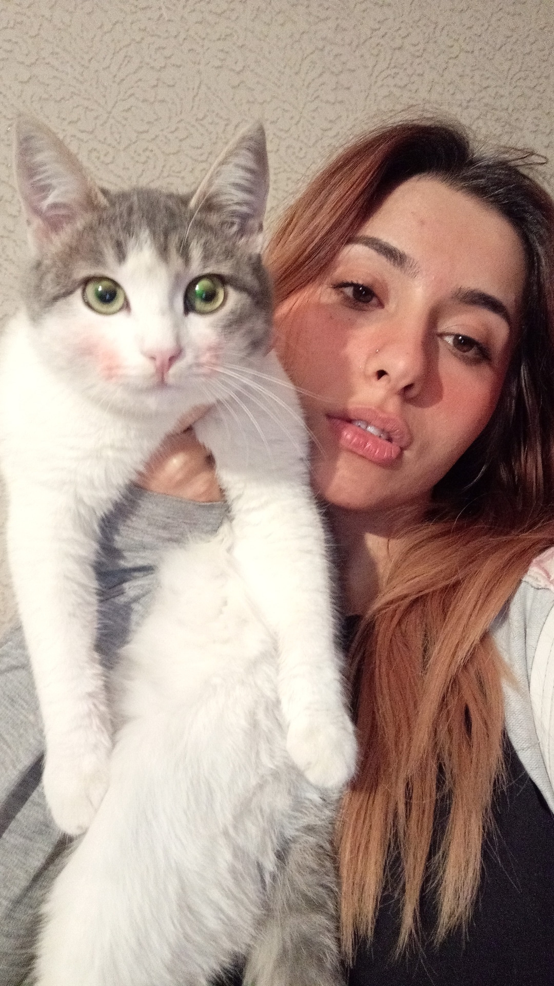 Sofia