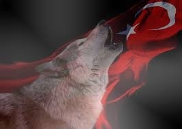 SİNEM