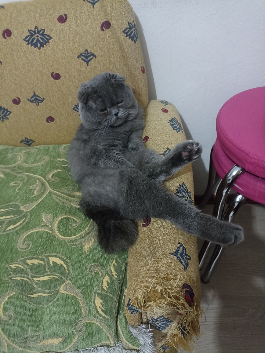 Tuğba