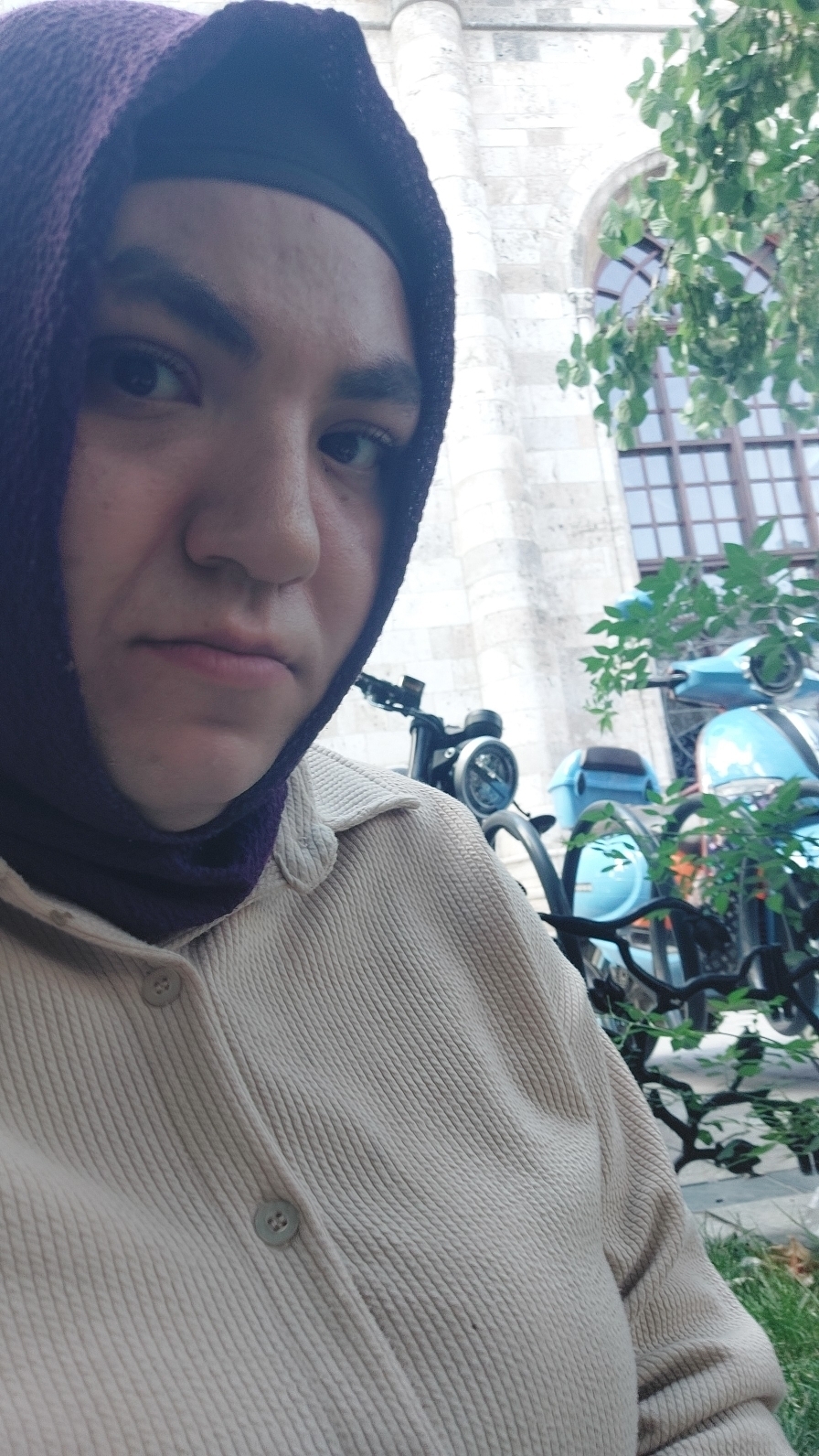Yltıs123