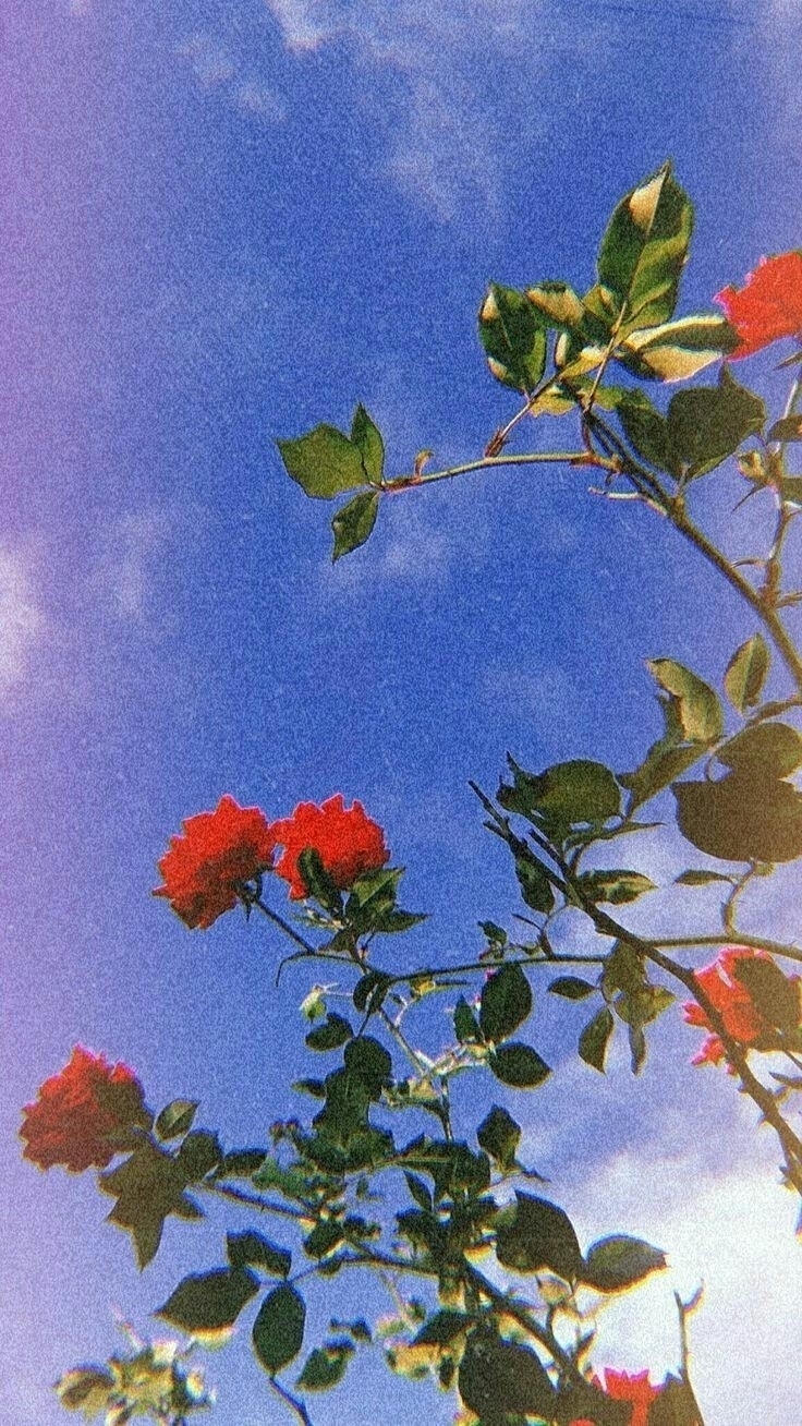 Pınar