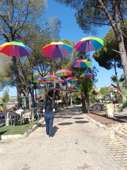 Sibel