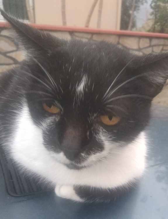 EROL
