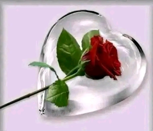Shoaib