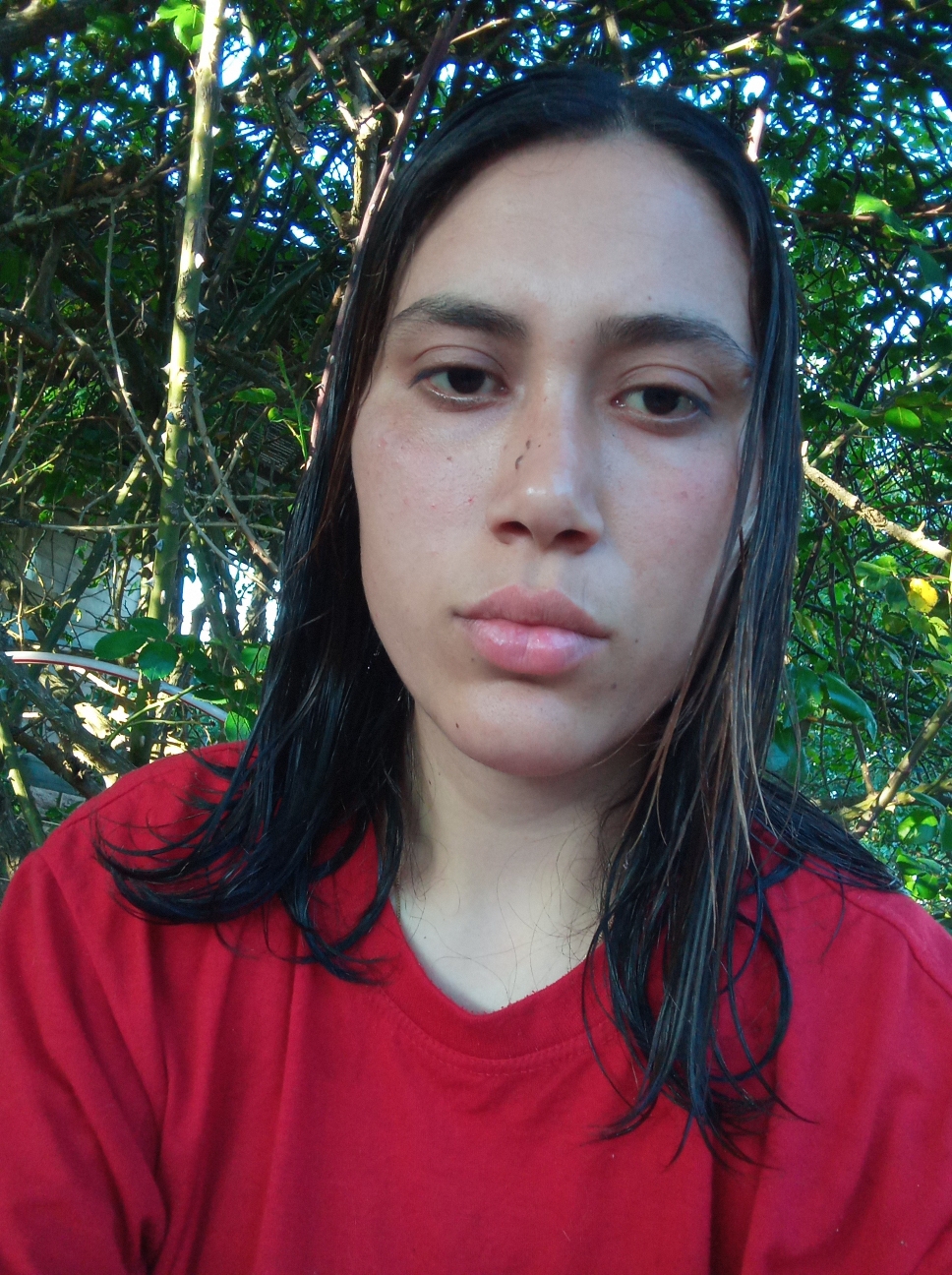 Anabela