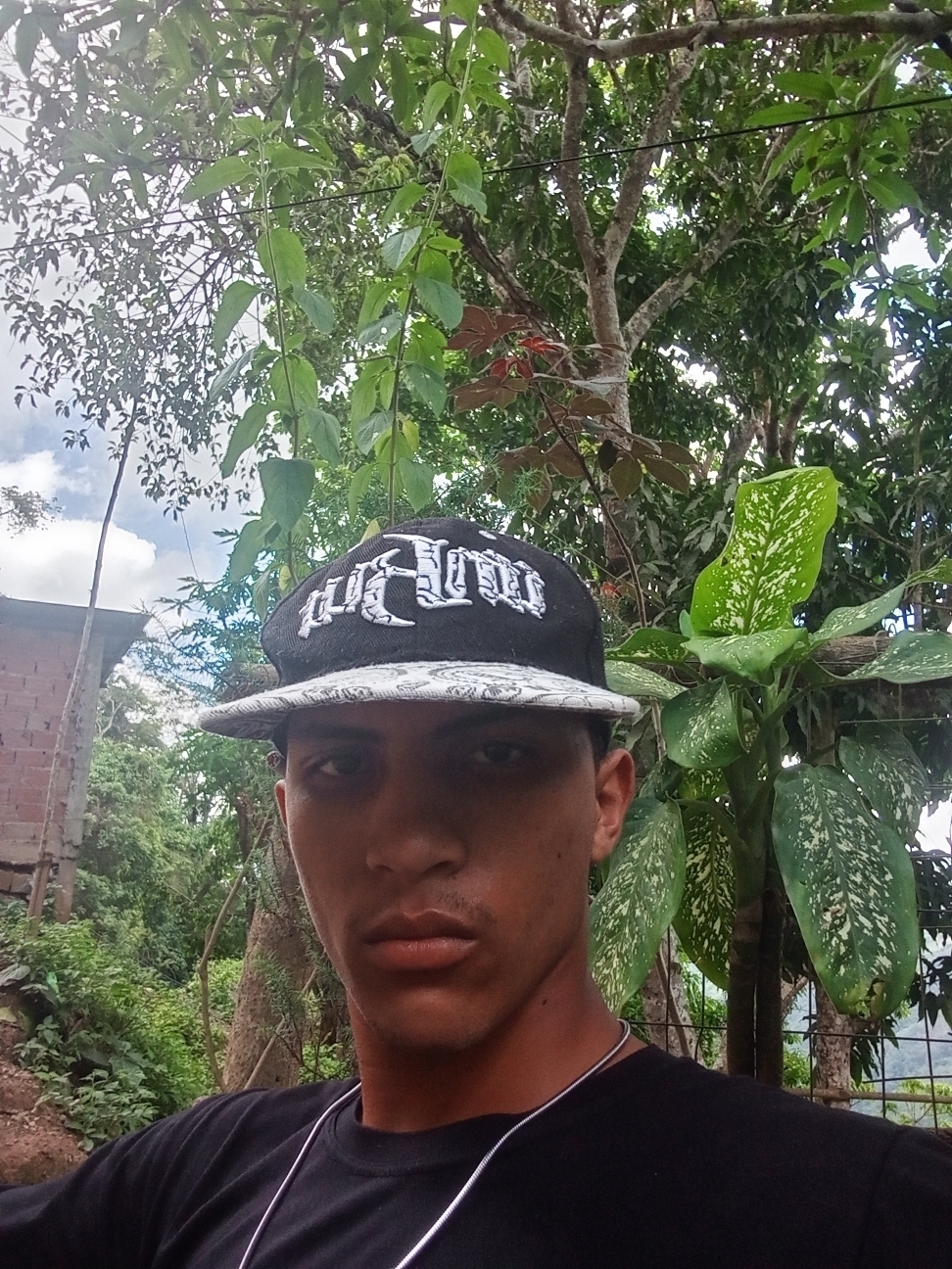 David
