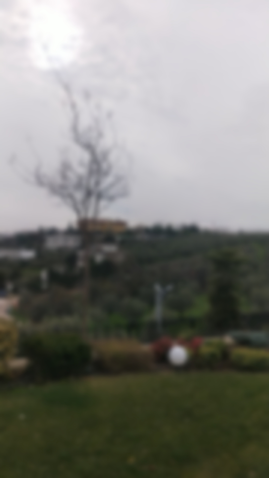 Sati