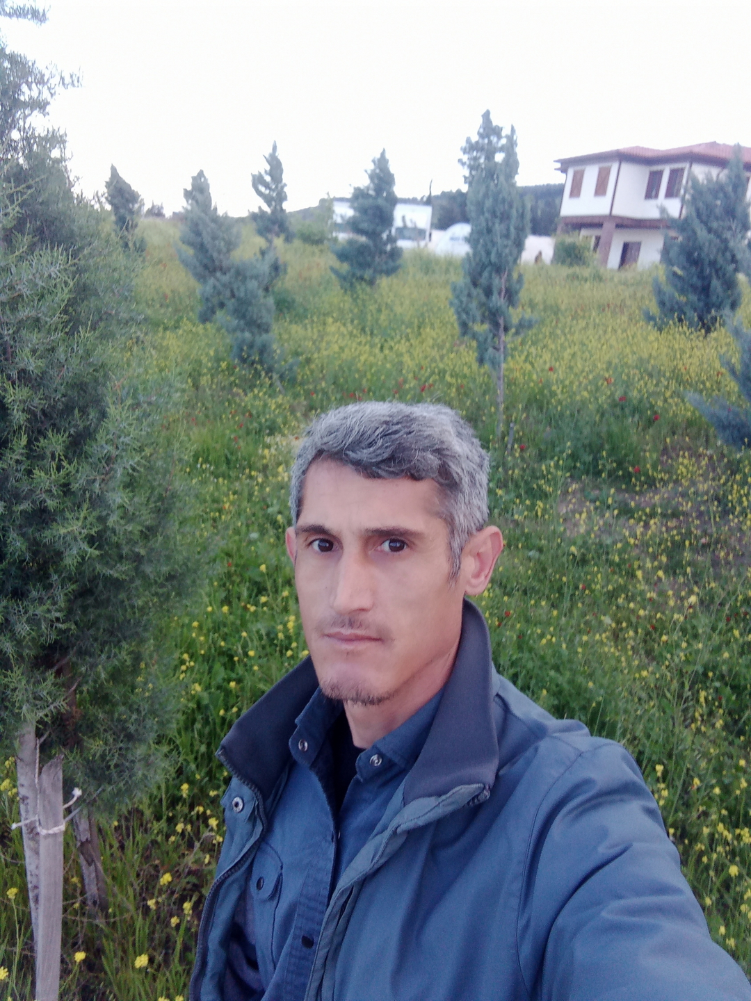 ERSİN