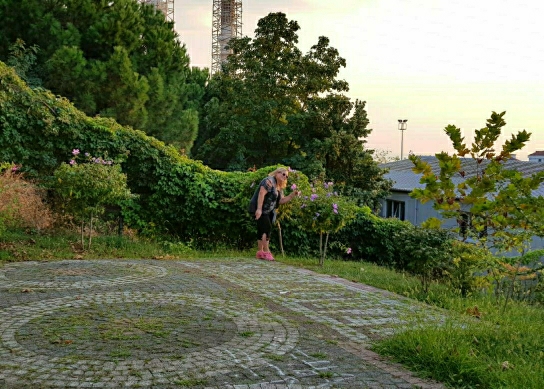 Runya