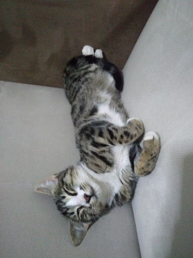 Ruhsuz